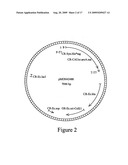 Microbial glyphosate resistant epsps diagram and image