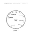 Microbial glyphosate resistant epsps diagram and image