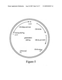 Microbial glyphosate resistant epsps diagram and image