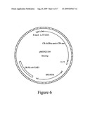 Microbial glyphosate resistant epsps diagram and image