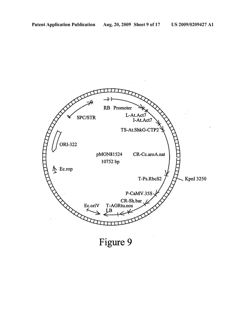 Microbial glyphosate resistant epsps - diagram, schematic, and image 10