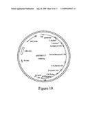 Microbial glyphosate resistant epsps diagram and image