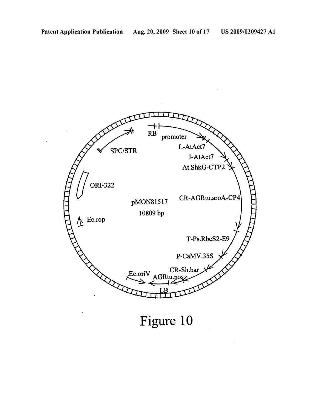 Microbial glyphosate resistant epsps - diagram, schematic, and image 11