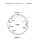 Microbial glyphosate resistant epsps diagram and image