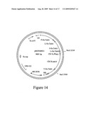 Microbial glyphosate resistant epsps diagram and image