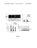 Cell-penetrating socs polypeptides that inhibit cytokine-induced signaling diagram and image