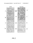 Cell-penetrating socs polypeptides that inhibit cytokine-induced signaling diagram and image