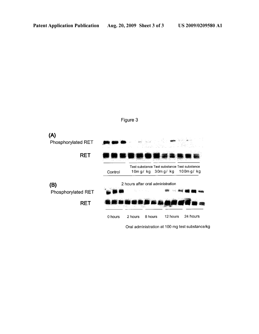 ANTITUMOR AGENT FOR THYROID CANCER - diagram, schematic, and image 04