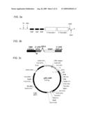 GENE DELIVERY FORMULATIONS AND METHODS FOR TREATMENT OF ISCHEMIC CONDITIONS diagram and image