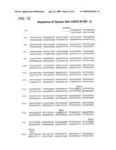 GENE DELIVERY FORMULATIONS AND METHODS FOR TREATMENT OF ISCHEMIC CONDITIONS diagram and image