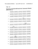 GENE DELIVERY FORMULATIONS AND METHODS FOR TREATMENT OF ISCHEMIC CONDITIONS diagram and image