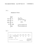 ALPHA-GLUCOSIDASE INHIBITOR, INHIBITOR FOR BLOOD GLUCOSE LEVEL ELEVATION AND FUNCTIONAL FOOD CONTAINING TRICAFFEOYLALDARIC ACID AND METHOD FOR PRODUCING TRICAFFEOYLALDARIC ACID diagram and image