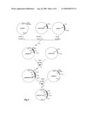 Recombinant chemokine-antigen vaccine diagram and image