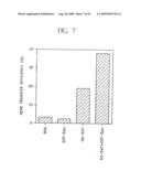 METHOD FOR GENE TRANSFER INTO TARGET CELLS WITH RETROVIRUS diagram and image