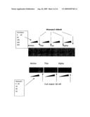 OLIGONUCLEOTIDES WITH ALTERNATING SEGMENTS OF LOCKED AND NON-LOCKED NUCLEOTIDES diagram and image