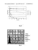 OLIGONUCLEOTIDES WITH ALTERNATING SEGMENTS OF LOCKED AND NON-LOCKED NUCLEOTIDES diagram and image