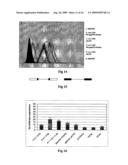 OLIGONUCLEOTIDES WITH ALTERNATING SEGMENTS OF LOCKED AND NON-LOCKED NUCLEOTIDES diagram and image