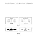 OLIGONUCLEOTIDES WITH ALTERNATING SEGMENTS OF LOCKED AND NON-LOCKED NUCLEOTIDES diagram and image