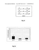 OLIGONUCLEOTIDES WITH ALTERNATING SEGMENTS OF LOCKED AND NON-LOCKED NUCLEOTIDES diagram and image