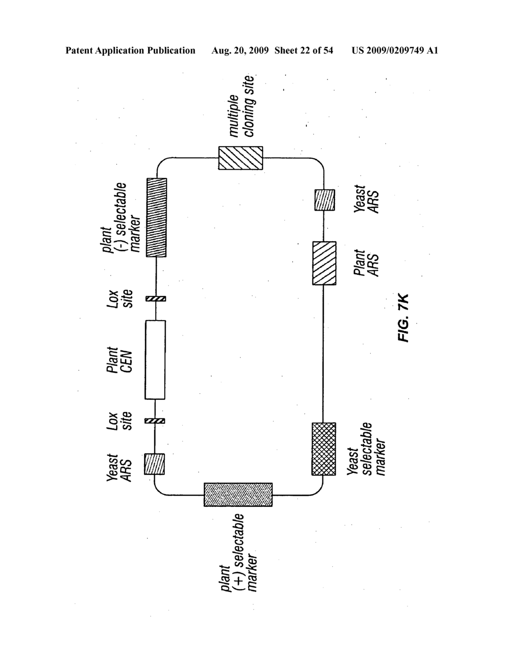 Plant centromere compositions - diagram, schematic, and image 23