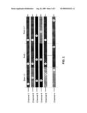 Multi-Channel Hole-Filling For Audio Compression diagram and image