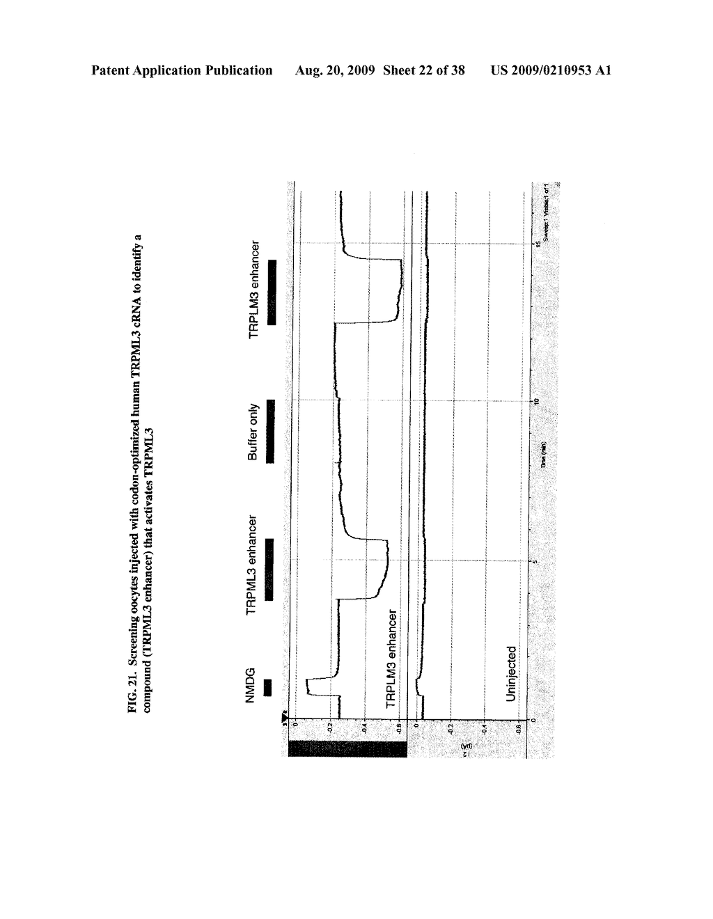 Identification of TRPML3 (MCOLN3) as a salty taste receptor and use in assays for identifying taste (salty) modulators and/or therapeutics that modulate sodium transport, absorption or excretion and/or aldosterone, and/or vasopressin production or release - diagram, schematic, and image 23