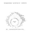 Plant Genomic DNA Flanking SPT Event and Methods for Identifying SPT Event diagram and image