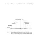 Plant Genomic DNA Flanking SPT Event and Methods for Identifying SPT Event diagram and image