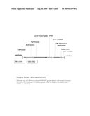 Plant Genomic DNA Flanking SPT Event and Methods for Identifying SPT Event diagram and image