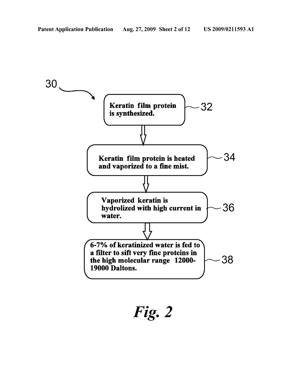 Reactive Keratin Protein Formulations and Methods of Using for Revitalizing Hair - diagram, schematic, and image 03