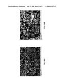 SMALL PARTICLE ELECTRODE MATERIAL COMPOSITIONS AND METHODS OF FORMING THE SAME diagram and image