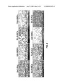 JOINT RELIABILITY OF SOLDER JOINT BETWEEN Sn-yAg SOLDER AND Ni-P UNDER BUMP METALLIC LAYER BY COBALT ADDITION diagram and image