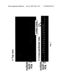 JOINT RELIABILITY OF SOLDER JOINT BETWEEN Sn-yAg SOLDER AND Ni-P UNDER BUMP METALLIC LAYER BY COBALT ADDITION diagram and image