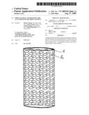 Spring Element and Piezoelectric Actuator with the Spring Element diagram and image