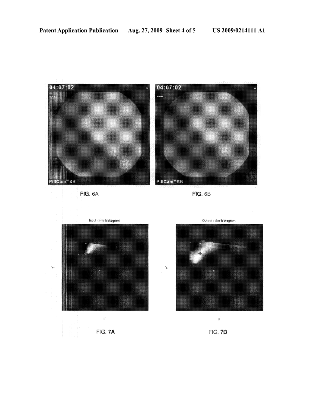 METHOD FOR ENHANCING IN-VIVO IMAGE CONTRAST - diagram, schematic, and image 05