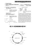 Recombinant vector expressing MDR1 shRNA and thymidine kinase and use thereof diagram and image