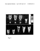 In Vivo Mitochondrial Labeling Using Positively-Charged Nitroxide Enhanced and Gadolinium Chelate Enhanced Magnetic Resonance Imaging diagram and image