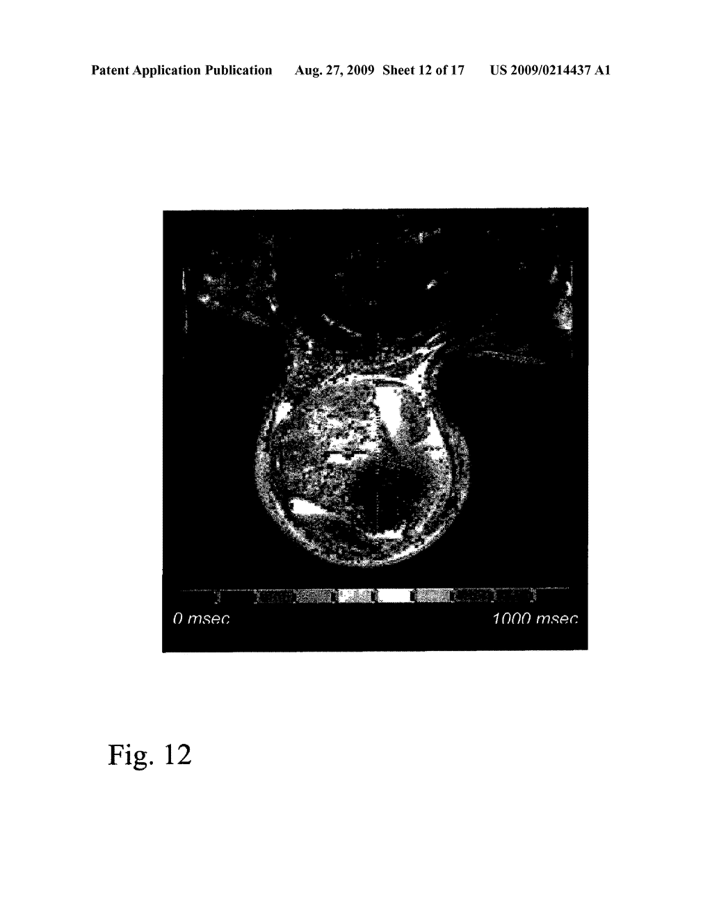 In Vivo Mitochondrial Labeling Using Positively-Charged Nitroxide Enhanced and Gadolinium Chelate Enhanced Magnetic Resonance Imaging - diagram, schematic, and image 13