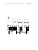 Latent phase viral interleukin-10-(VII-10) and uses thereof diagram and image