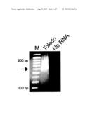 Latent phase viral interleukin-10-(VII-10) and uses thereof diagram and image