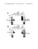 Latent phase viral interleukin-10-(VII-10) and uses thereof diagram and image