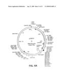 PEPTIDES AND COMPOUNDS THAT BIND TO A RECEPTOR diagram and image