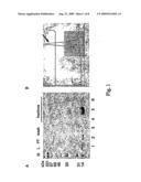 VASCULAR ENDOTHELIAL GROWTH FACTOR-D (VEGF)-D AND FUNCTIONALLY FRAGMENTS THEREOF FOR BONE REPAIRING diagram and image