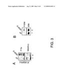 VASCULAR ENDOTHELIAL GROWTH FACTOR-D (VEGF)-D AND FUNCTIONALLY FRAGMENTS THEREOF FOR BONE REPAIRING diagram and image