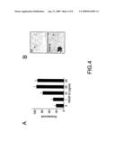 VASCULAR ENDOTHELIAL GROWTH FACTOR-D (VEGF)-D AND FUNCTIONALLY FRAGMENTS THEREOF FOR BONE REPAIRING diagram and image