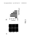 VASCULAR ENDOTHELIAL GROWTH FACTOR-D (VEGF)-D AND FUNCTIONALLY FRAGMENTS THEREOF FOR BONE REPAIRING diagram and image