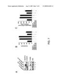 VASCULAR ENDOTHELIAL GROWTH FACTOR-D (VEGF)-D AND FUNCTIONALLY FRAGMENTS THEREOF FOR BONE REPAIRING diagram and image