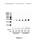 MAMMALIAN EXPRESSION SYSTEMS diagram and image