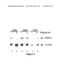 MAMMALIAN EXPRESSION SYSTEMS diagram and image