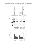 MAMMALIAN EXPRESSION SYSTEMS diagram and image